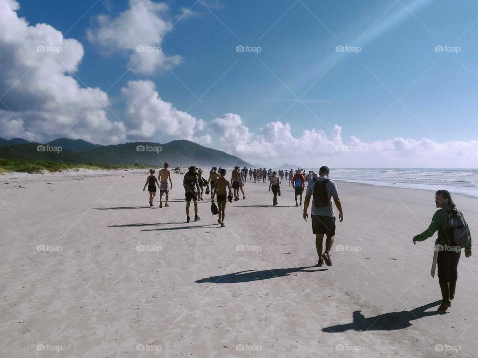 Beautiful Brazilian Beach, at Ilha do Cardoso, Cananéia. Long Beach, sunny day and people hiking in the beach.