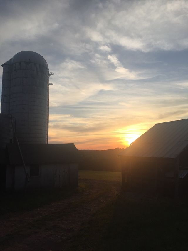 Sunset at the farm