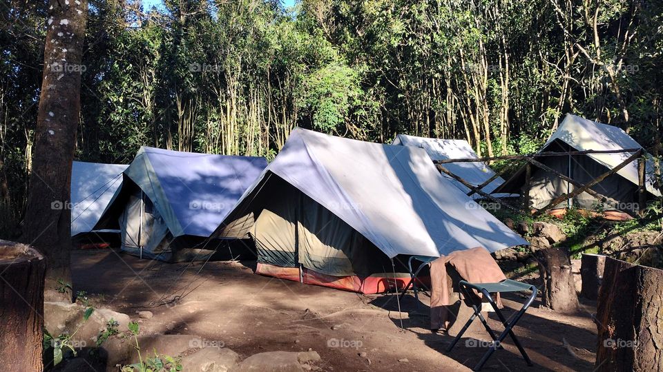 “Choose only one master—nature.” –