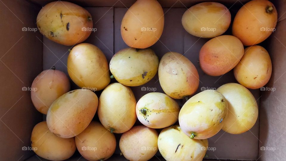 Mangos from my tree