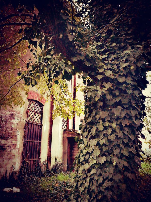 Ancient Glimpse