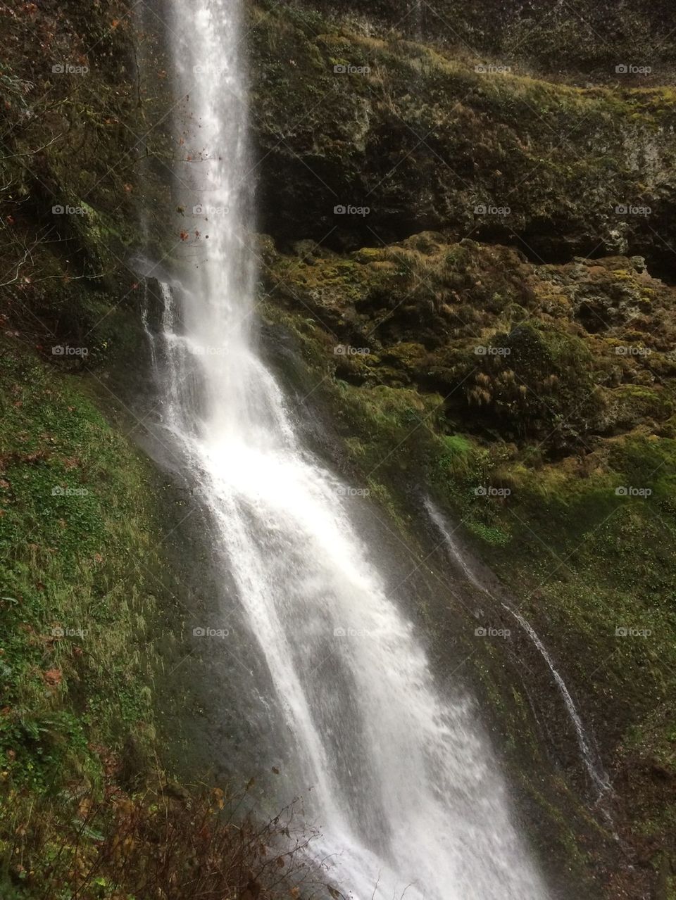 Silver falls 