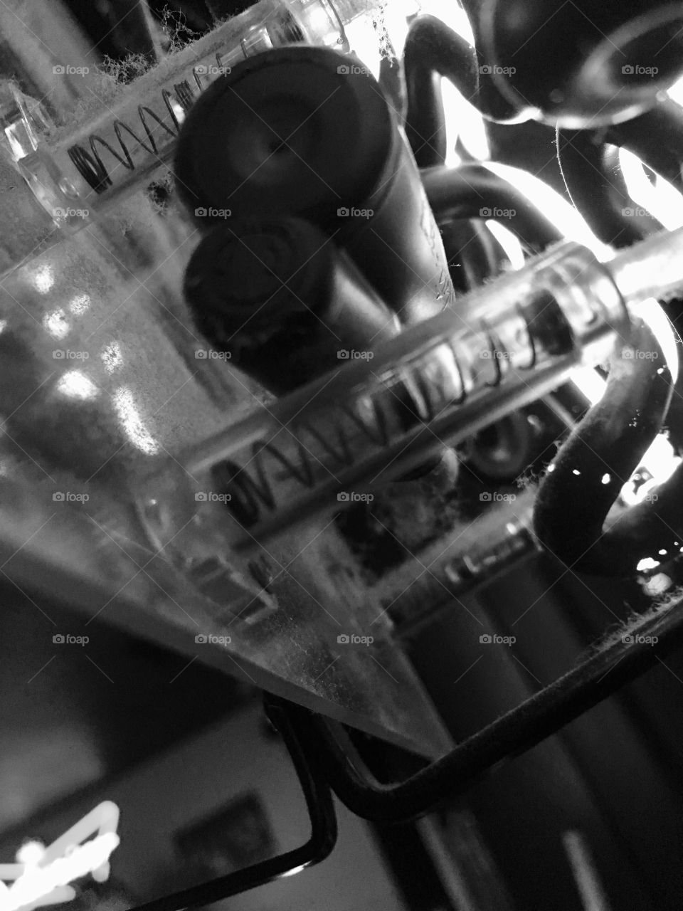 Detailed pieces in a neon sign in the window at Gator’s Dockside in Florida in black and white 