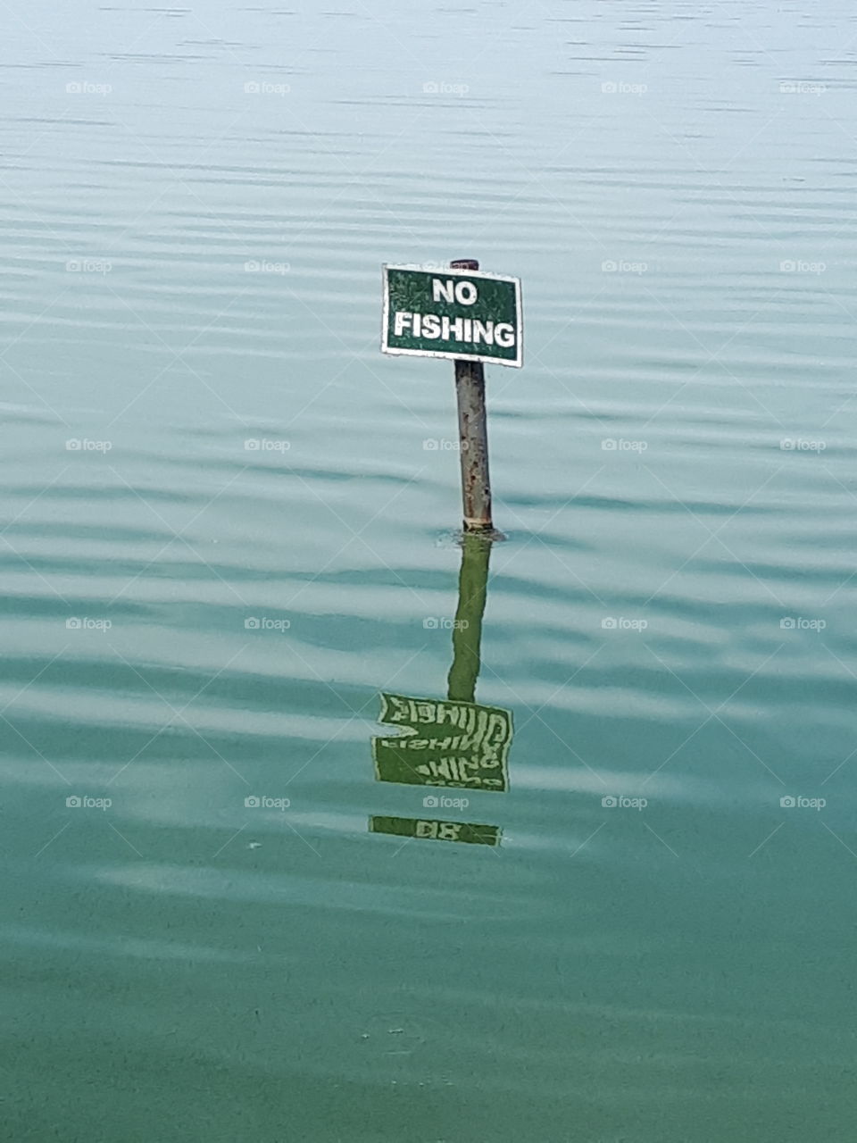 No Fishing