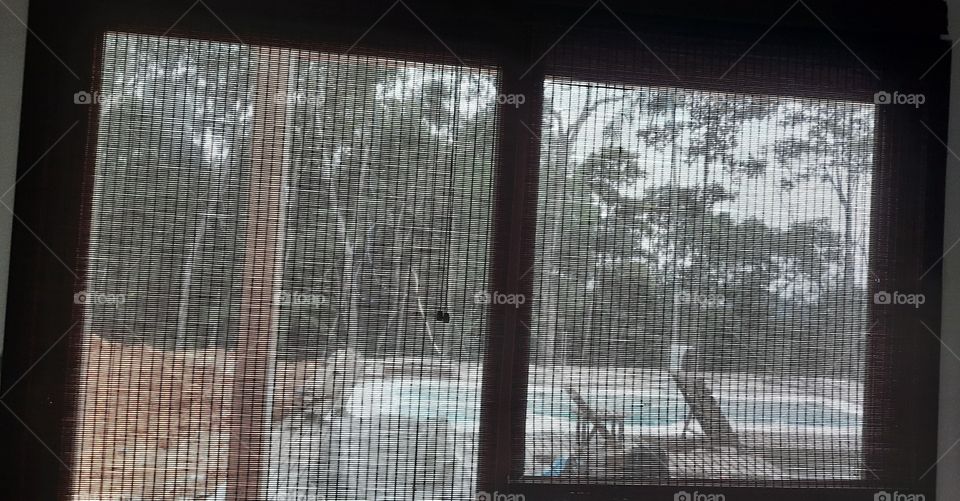 Natureza exuberante.