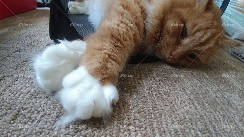 fluff toes