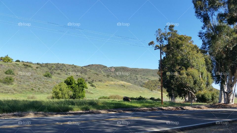 Landscape, Tree, Nature, Road, Sky
