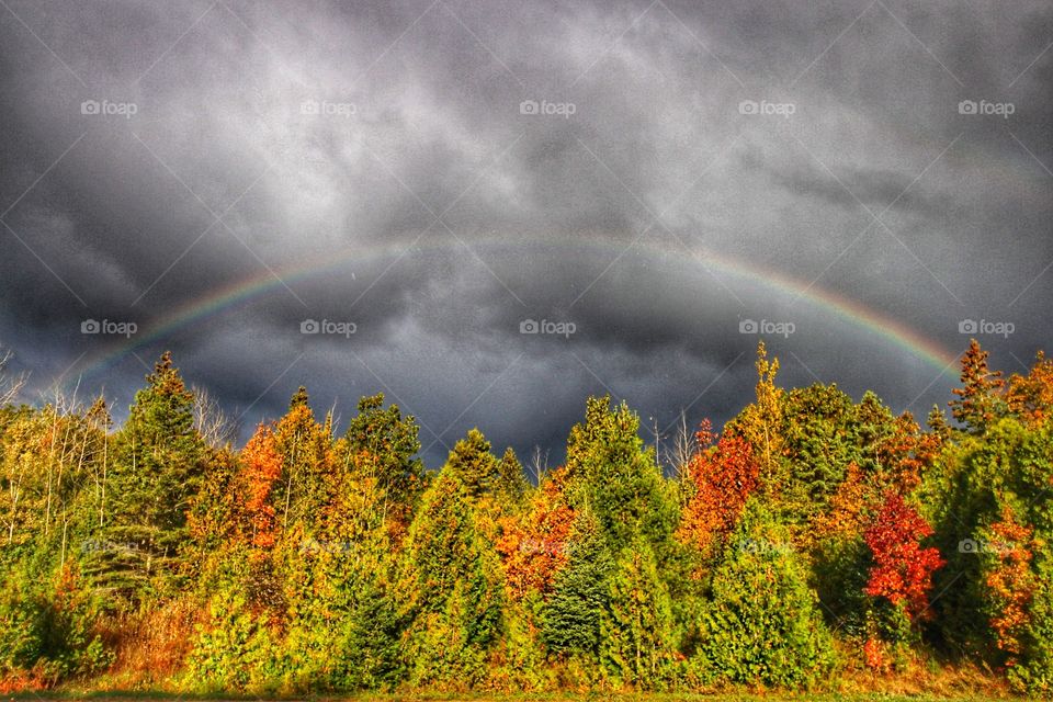 Thanksgiving Rainbow