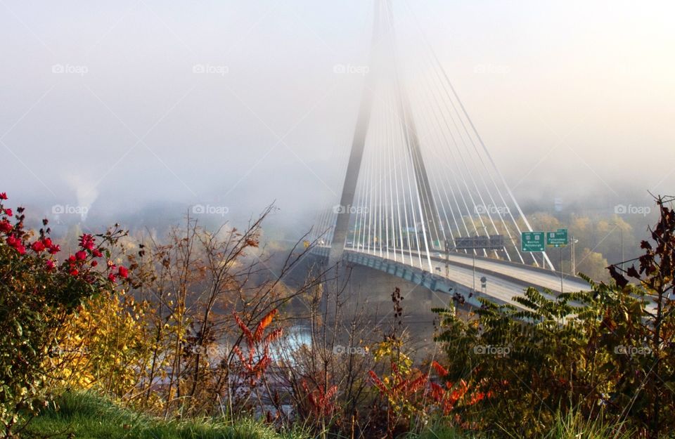 Countryside, Foggy autumn morning with a bridge in view 