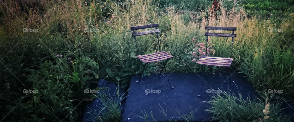A spot for two. Two vacant chairs in the green garden