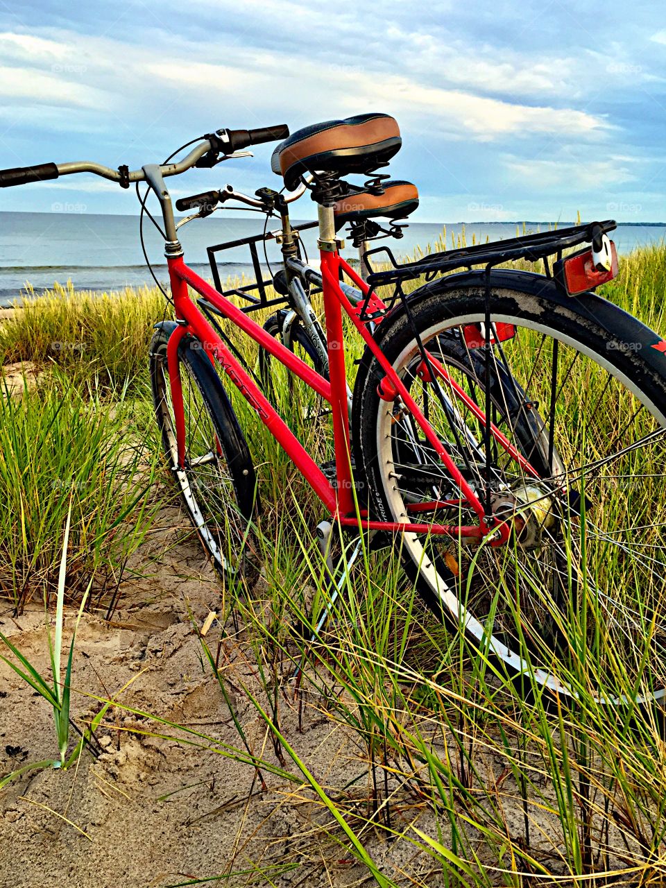 Two bicycles! 