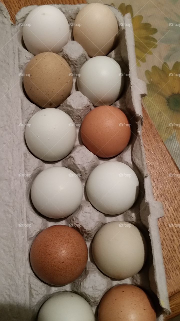 Eggs Crate Variety Colors