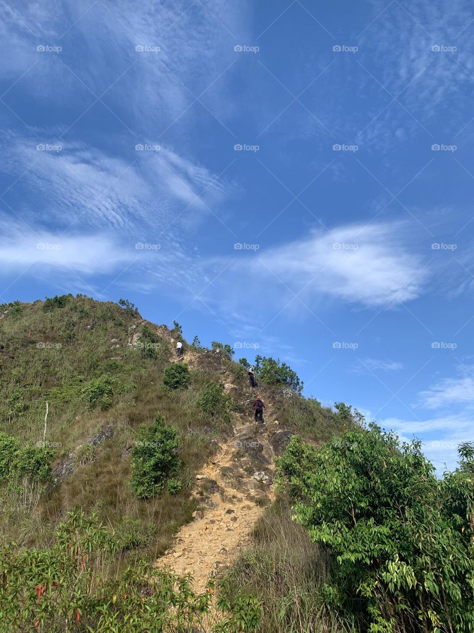 Hiking track in Bukit Berekeh