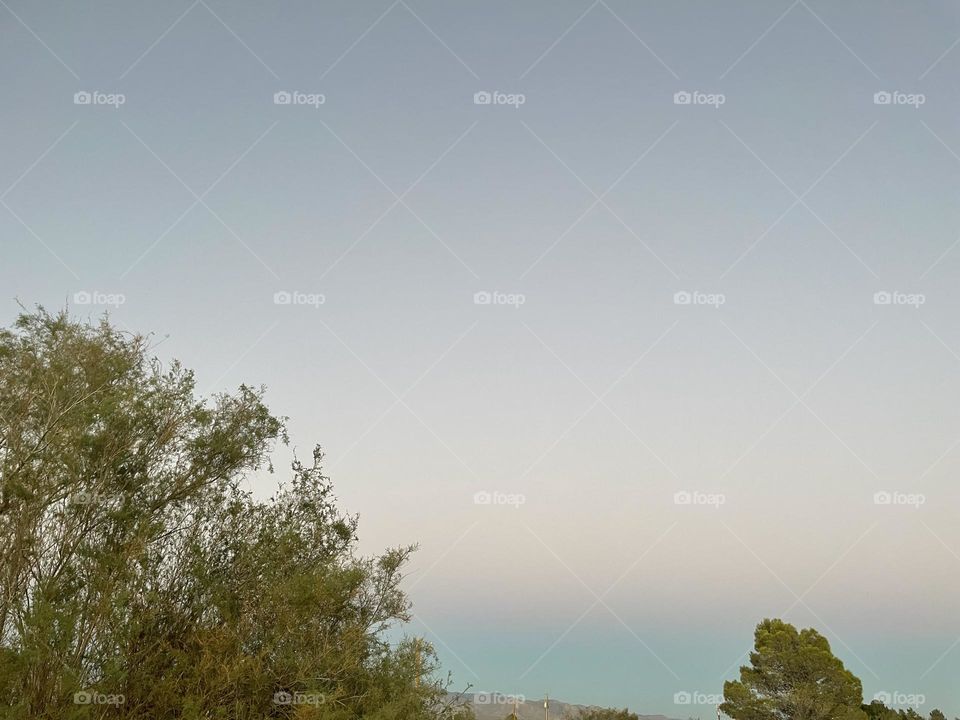 A blue and purple sky in between two trees.