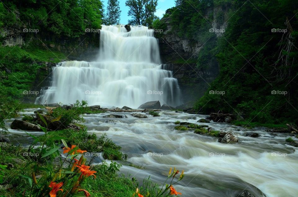 Scenic view of waterfall