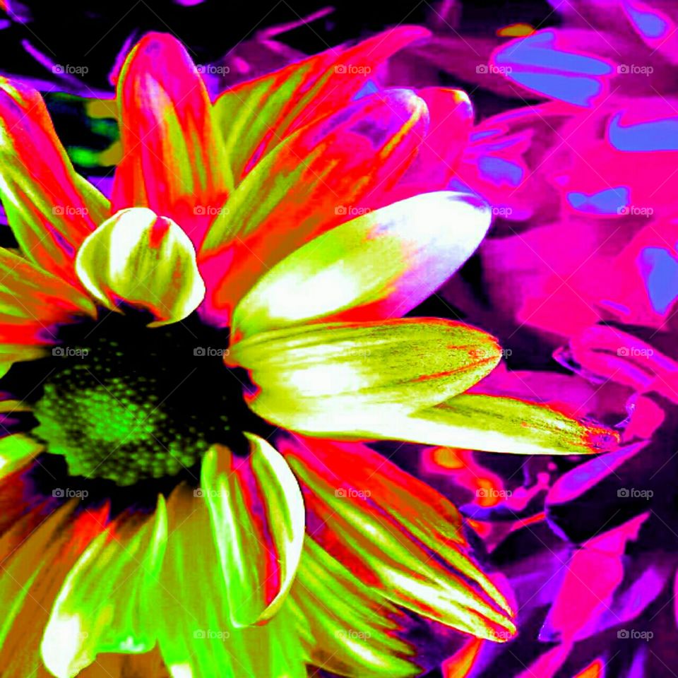 craisydaisy yellow creations