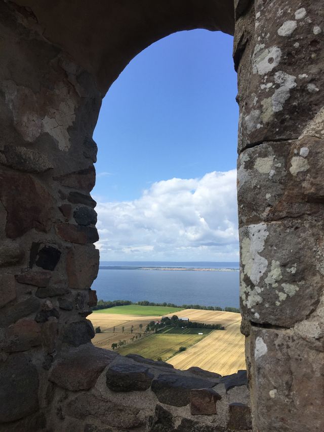 Brahehus