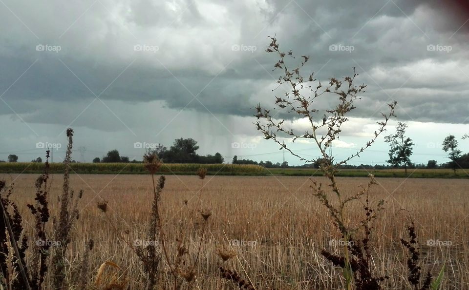 landscape, sky divided in half