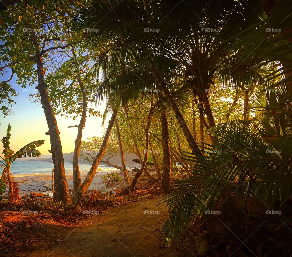 Give me a place where the jungle meets the sea