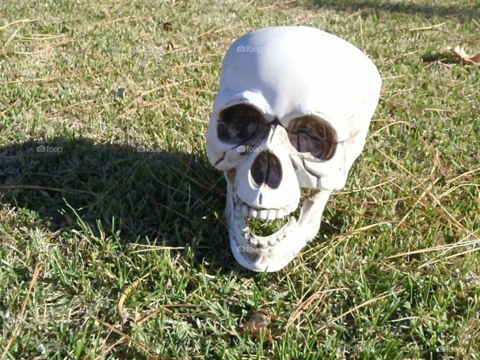 Grounded Skull