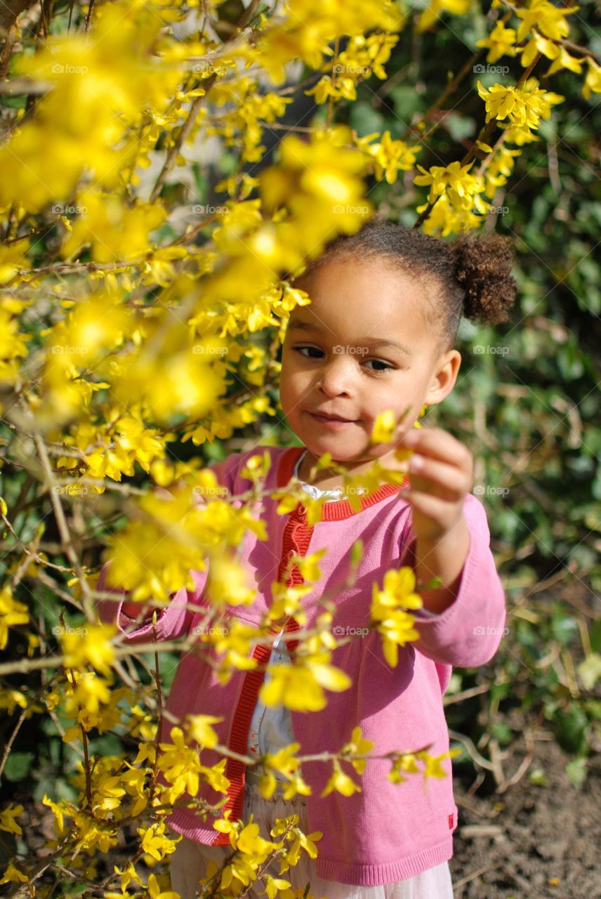 Little girl picking flowers in summer 