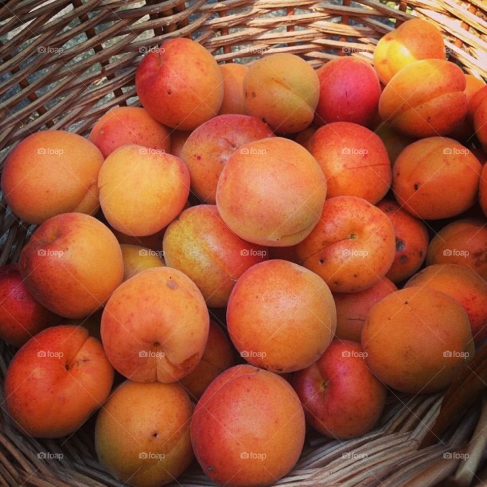 Apricots 😍