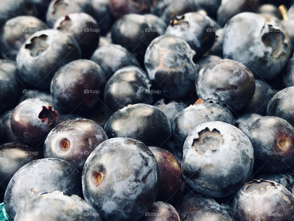 Blueberry close-up