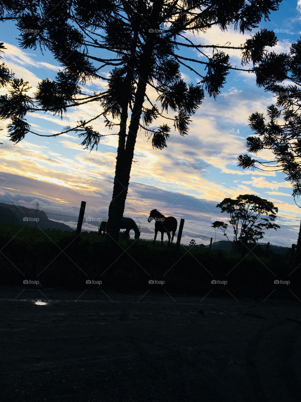 This app has been the best of my time 