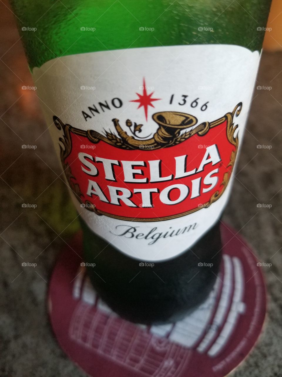 Stella Artois