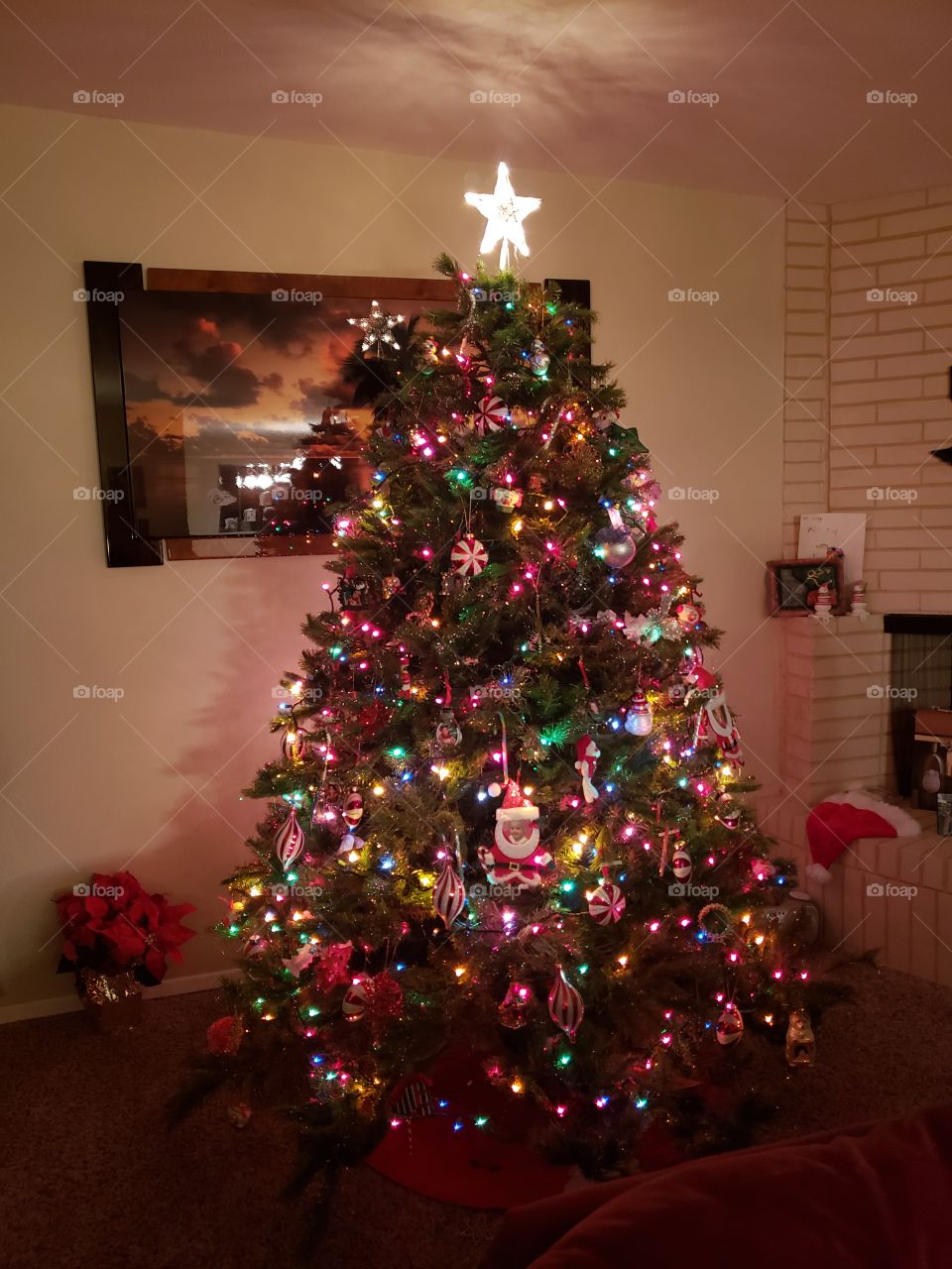 Christmas tree lit
