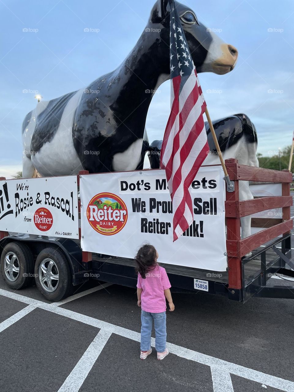 Child looks up at two large cows, cow statues on display at the supermarket, child is in love with cows, toddler curious about cows 