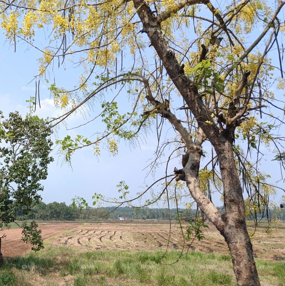 The beauty of my country does not end here