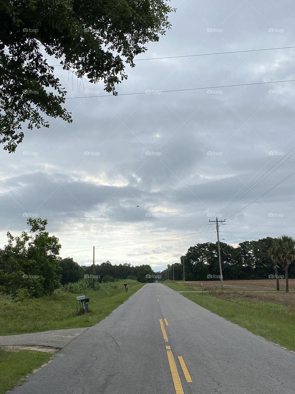 Country road 