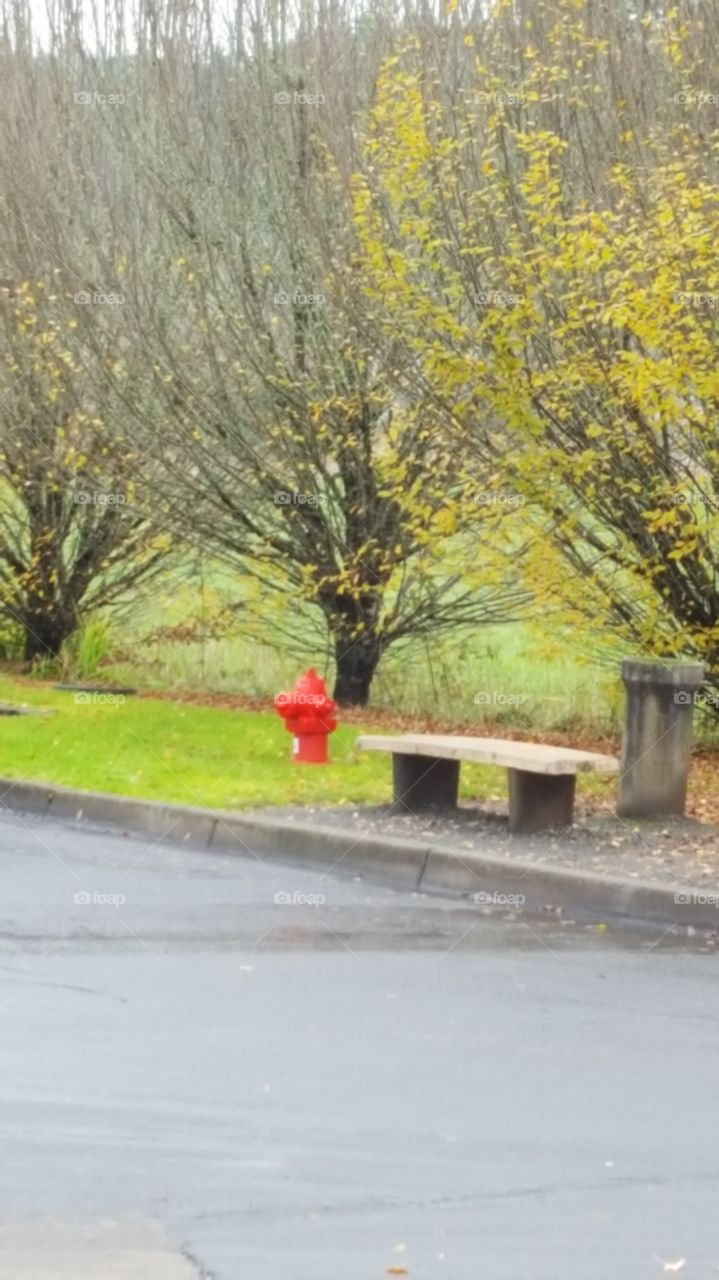 red fire hydrant