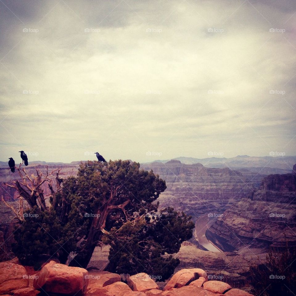 Grand Canyon Gloom 