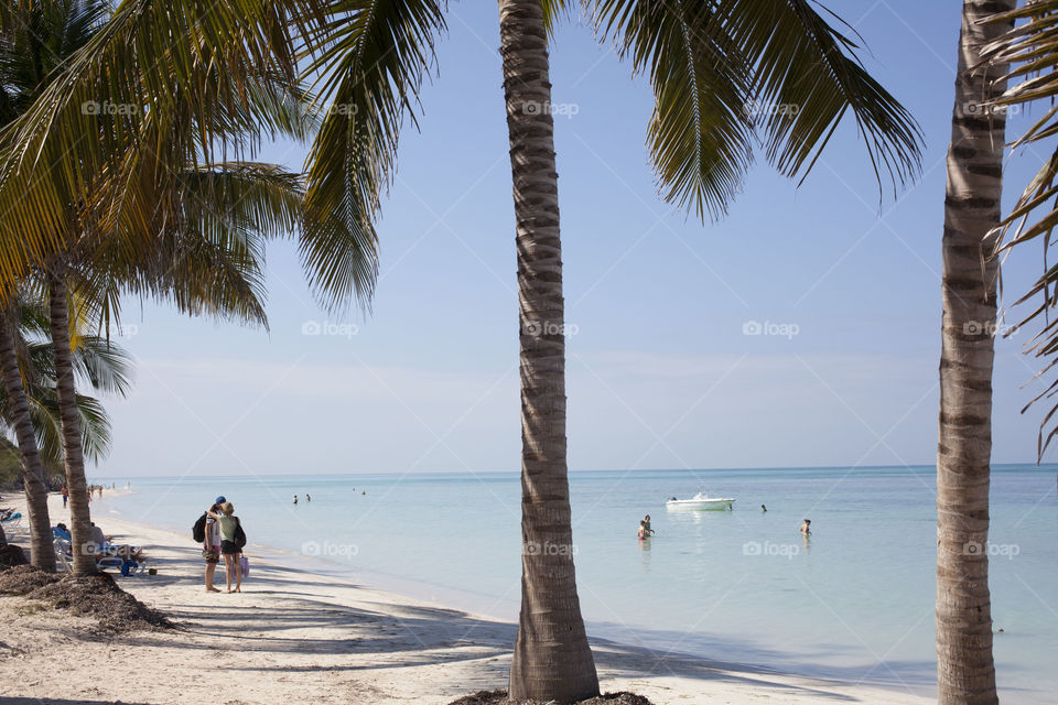 Beach, Sand, Tropical, Summer, Seashore