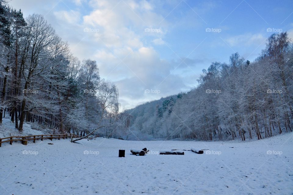 Snow, Winter, Cold, Landscape, Frost