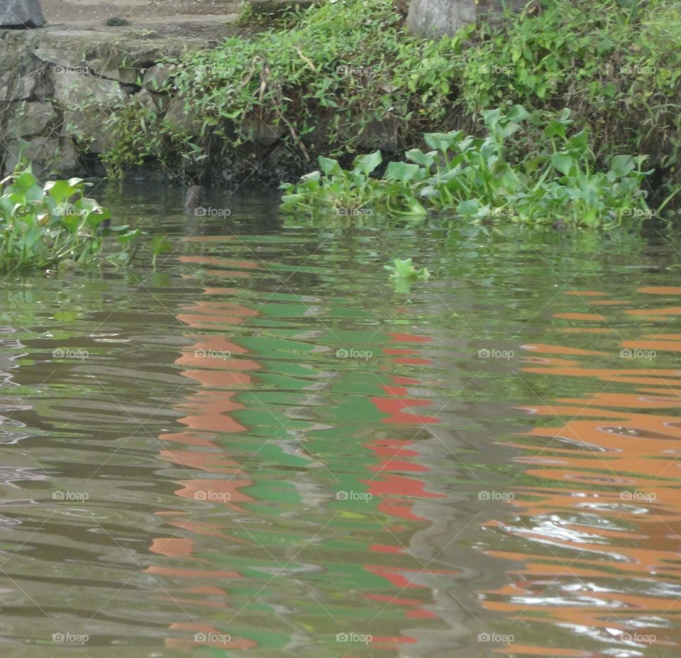 reflection in the backwaters Kerala