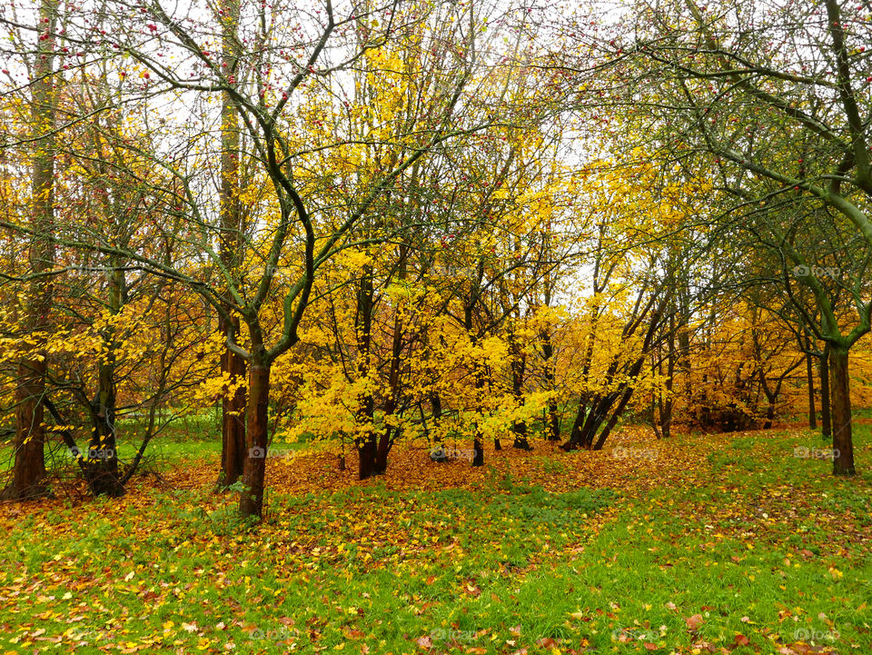 Autumn in Antwerp, Belgium.