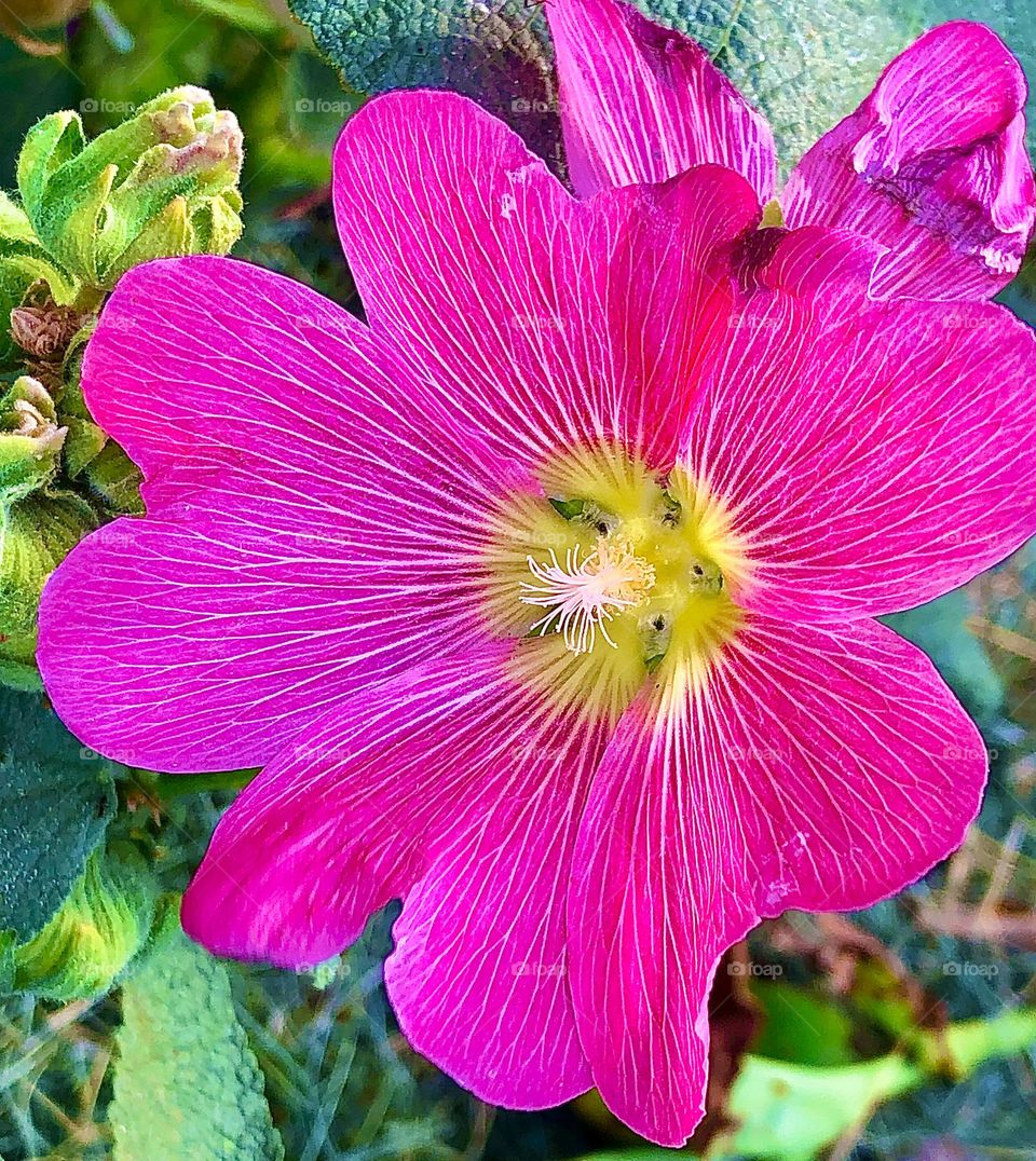 Upload photo of the month March