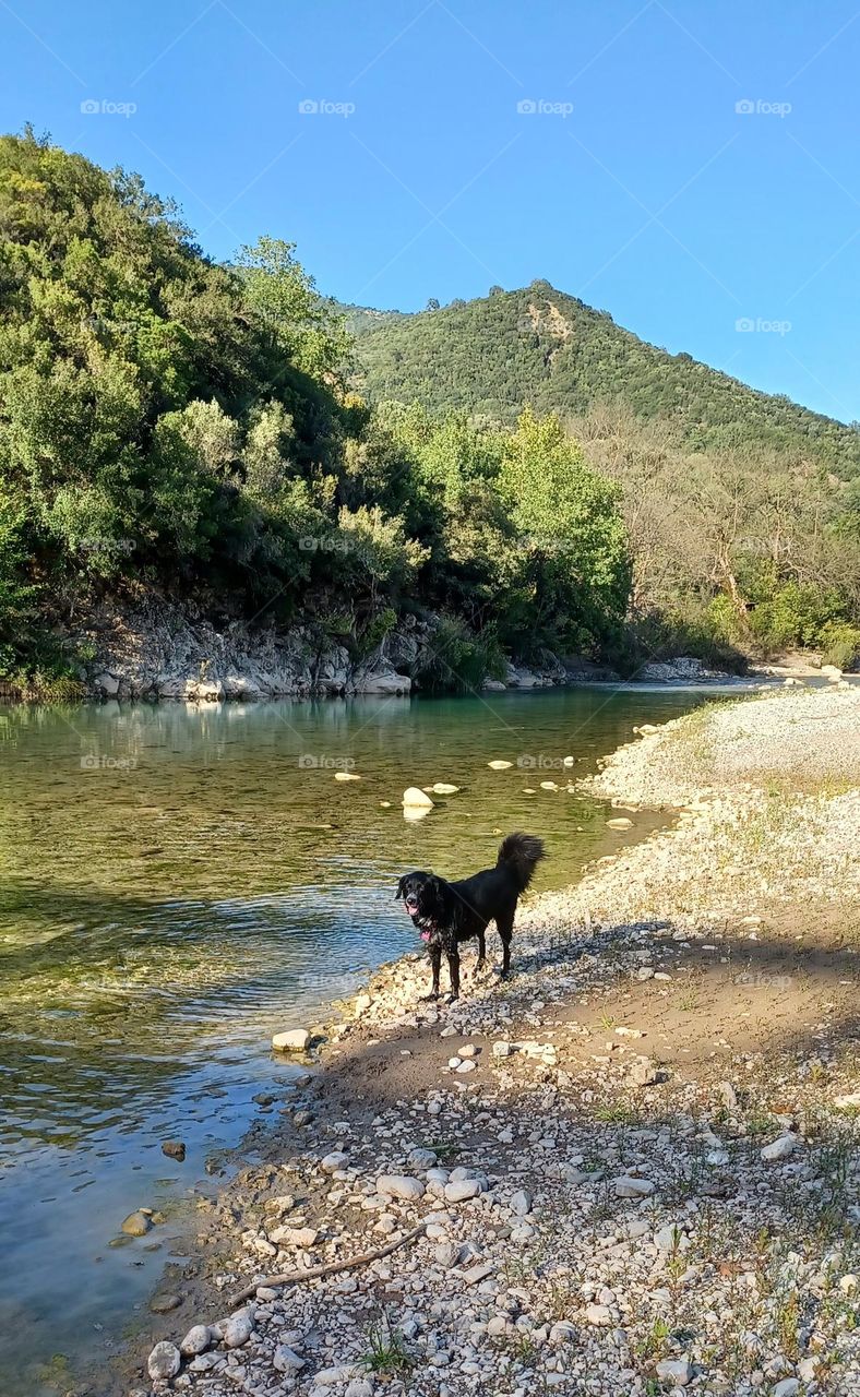 Evinos river, Greece