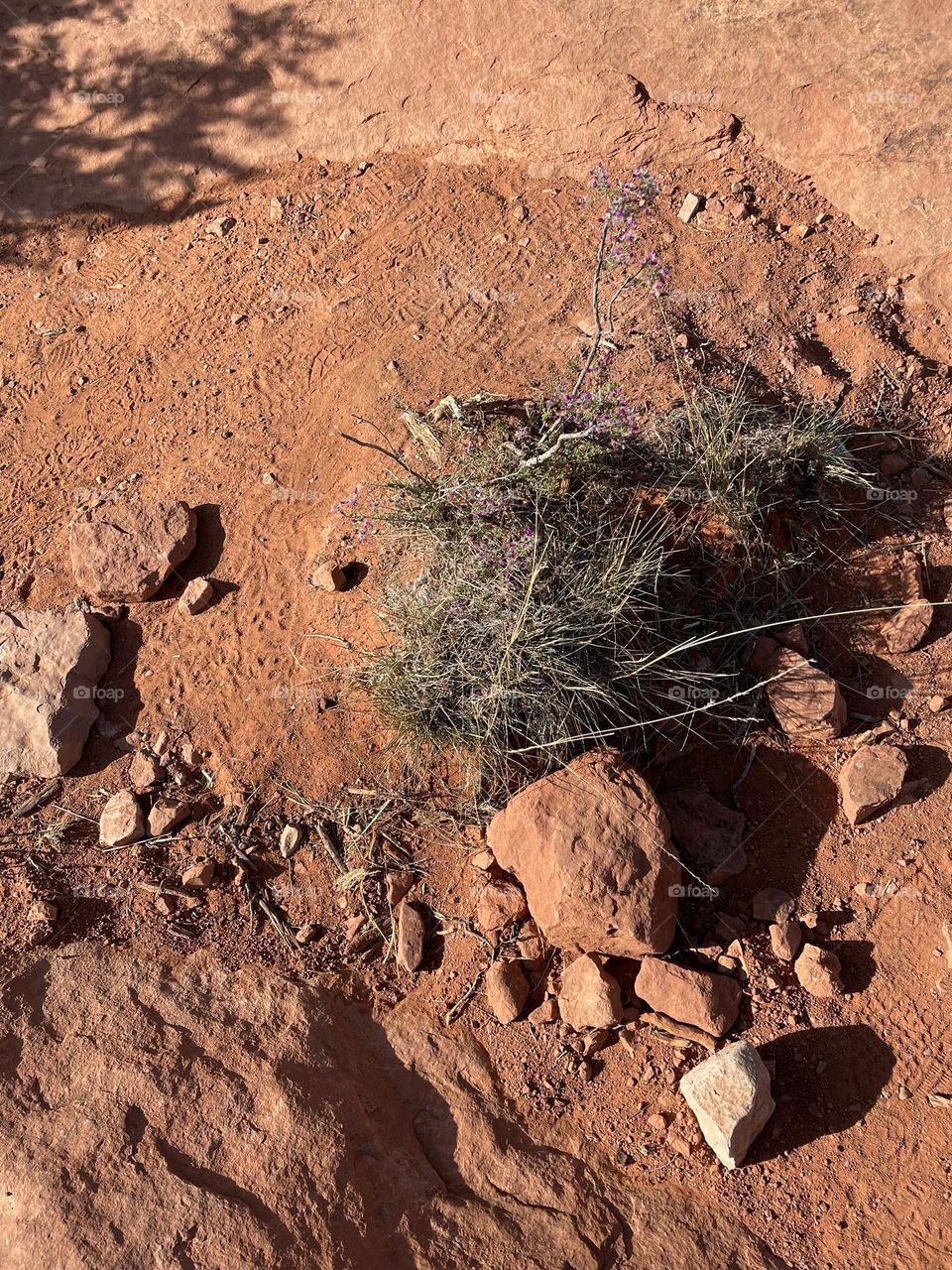 Perfect nature combination.