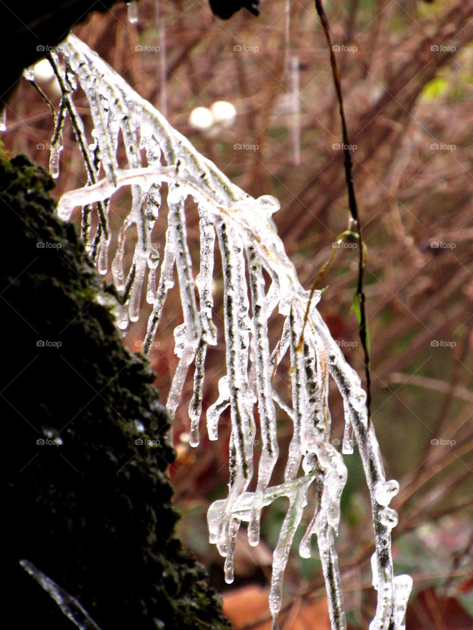 on a cold and frosty day