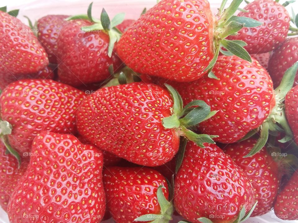 Strawberries