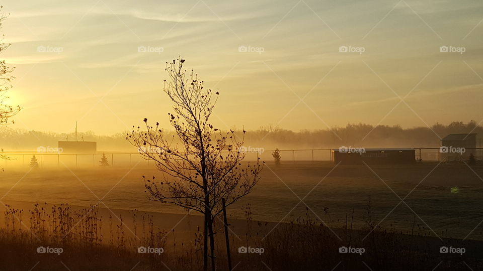 Sunrise above fog covered in grassy field