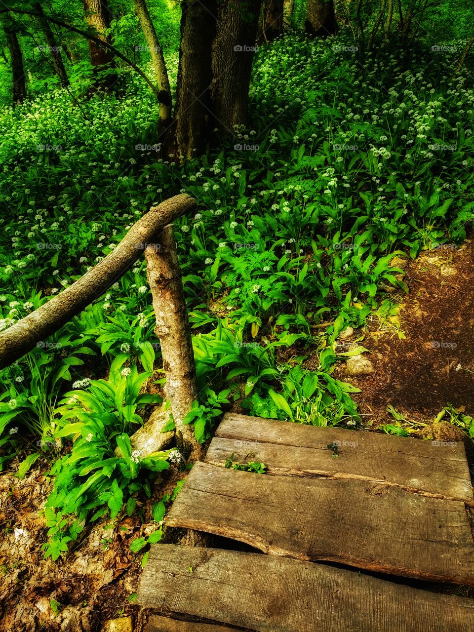 From up to above feet legs mountains hills field nature view eco focus day part sun sunny travel Light reys trip form plant part shades shape beauty greens outdoor freedom happy happiness green bridge