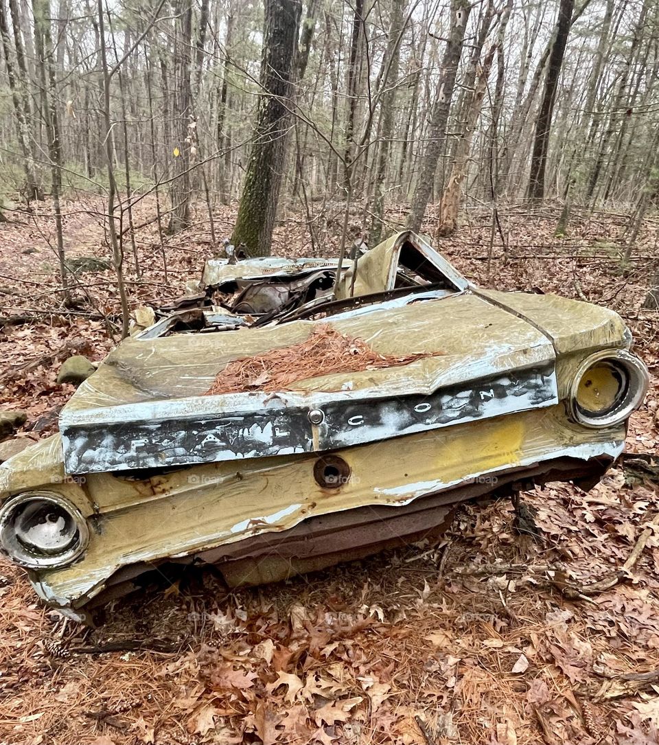 A haunting yet nostalgic scene in a dense forest, where a 1950s or 1960s Ford Falcon sits abandoned. The car, once vibrant and sleek, is now weathered and rusted, its paint faded, its roof crushed in, and its tires flat and sunken into the ground.