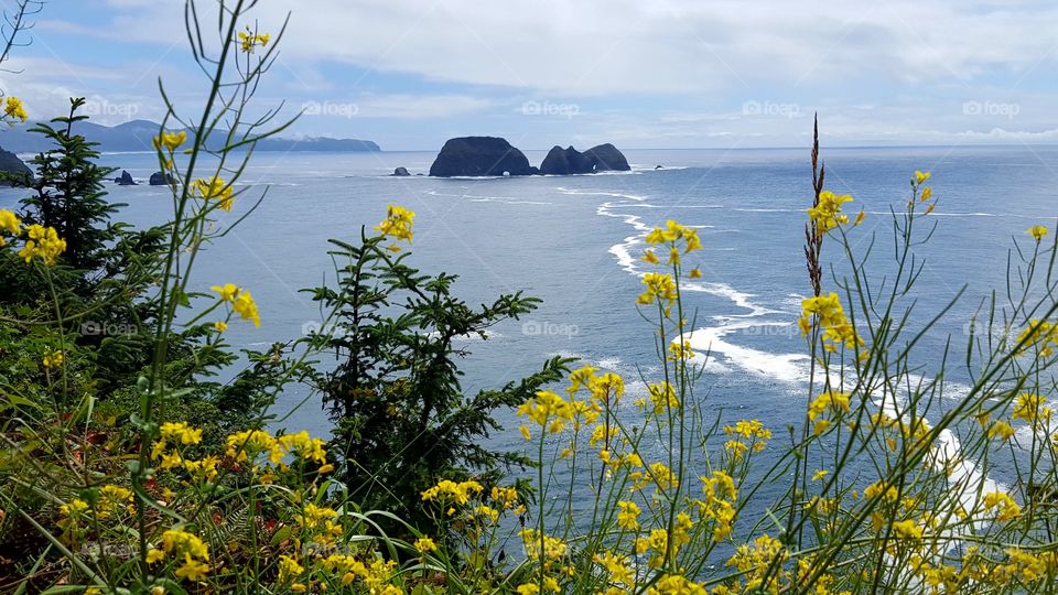 Oregon Coast