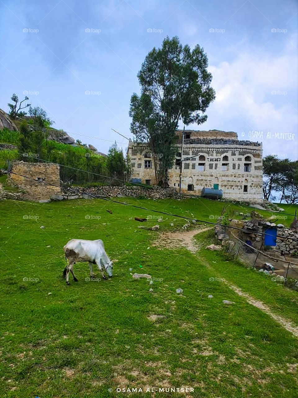 A stunning view of green mountains covered in fog in Yemen