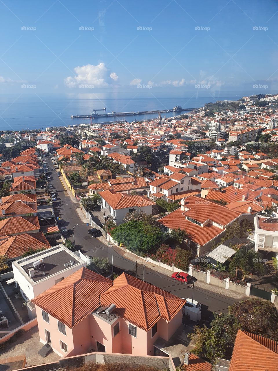 View from cable car in Funchal, Maderia